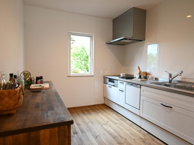 DSC_1151.jpg のコピー