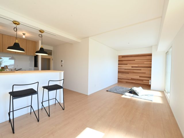 DSC_4806.JPG のコピー